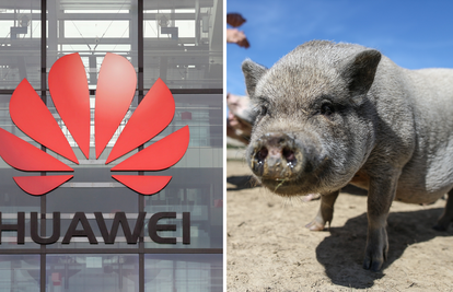 Huawei je razvio 'njuška ID'