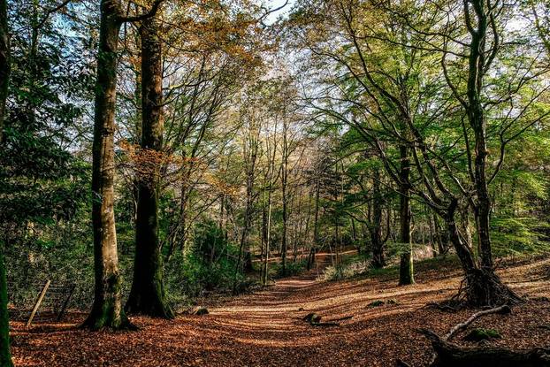 Hrvatski biser našao se na listi idealnih jesenskih destinacija