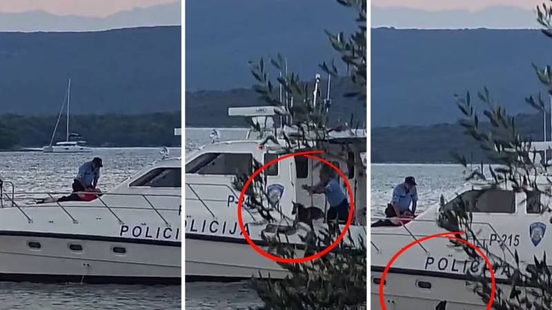 Širi se snimka na kojoj policajac s broda baca psa u more! Evo što kažu: 'Samo smo ga pustili'