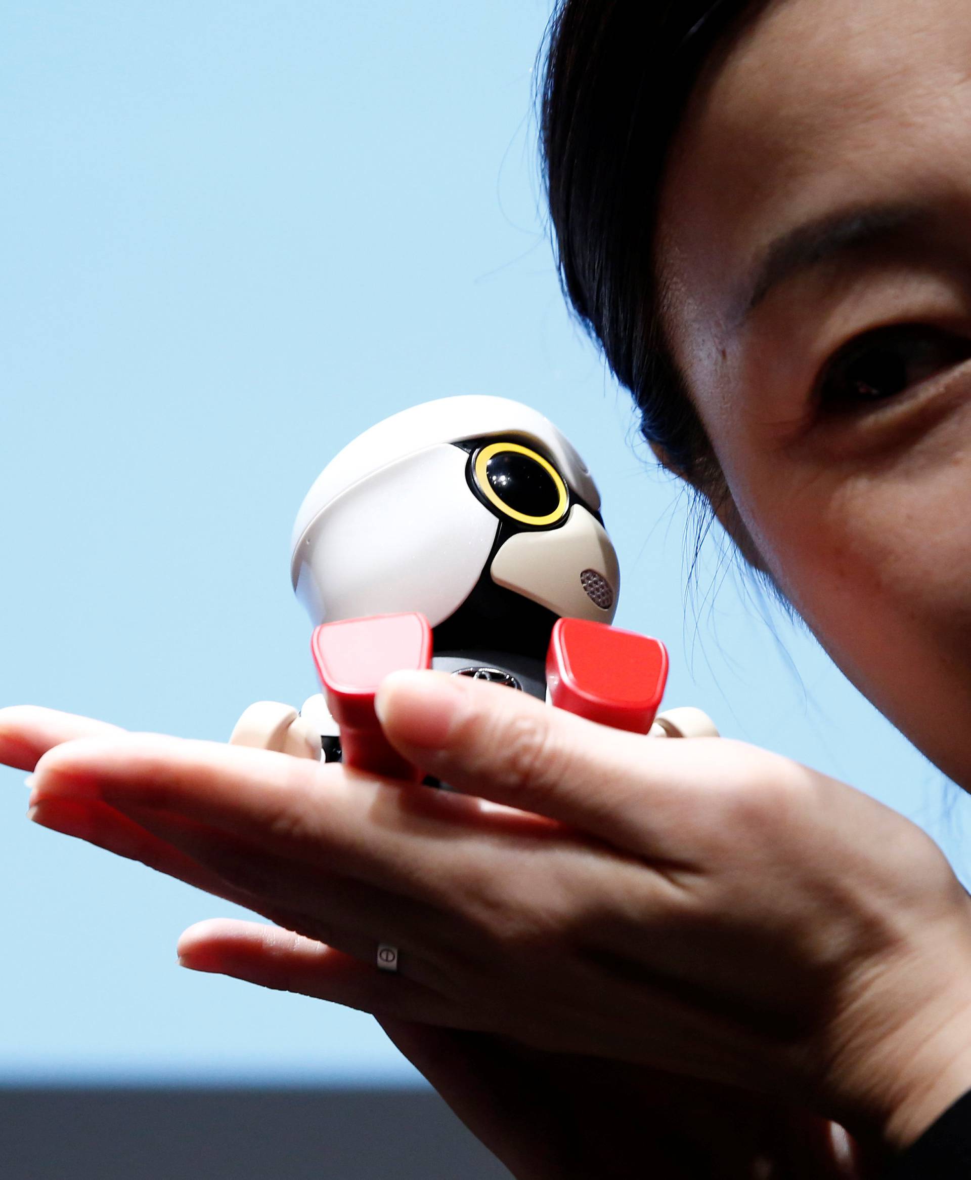 A staff member listens Toyota Motor Corp's Kirobo Mini robot's voice as she poses with the robot after a news conference in Tokyo