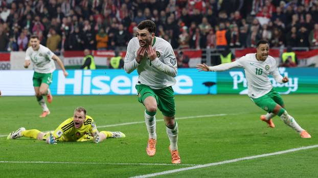 World Cup - UEFA Qualifiers - Group F - Hungary v Republic of Ireland