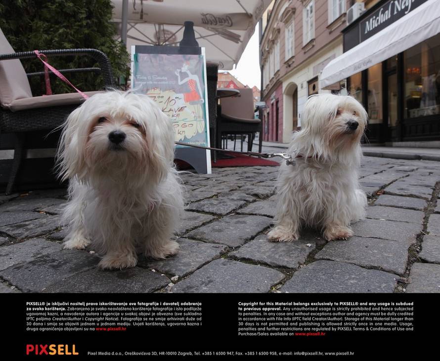 Tomislav MIletić/Pixsell