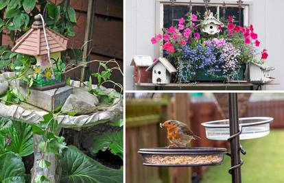 Top 20 ideja kako urediti kutak za ptice u vrtu ili na balkonu