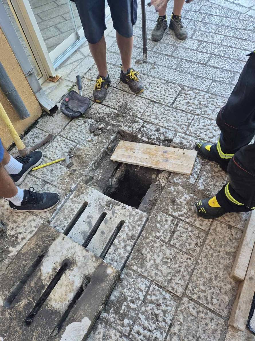 Galeb zapeo u kanalizaciji u Rovinju: 'Dobro je, ali nikome nije jasno kako je ondje završio'