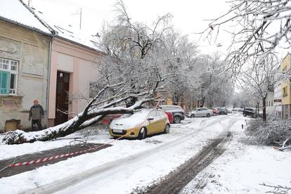 FOTO Osim snijega, u Osijeku palo i stablo na parkirani auto