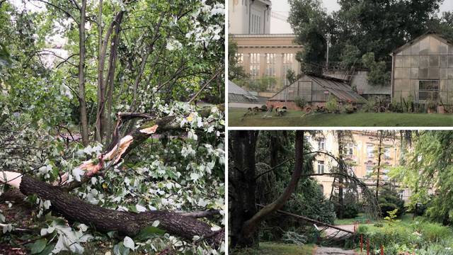 Nevrijeme uništilo Botanički vrt u Zagrebu: 'Kataklizma nas je zahvatila, moramo zatvoriti...'