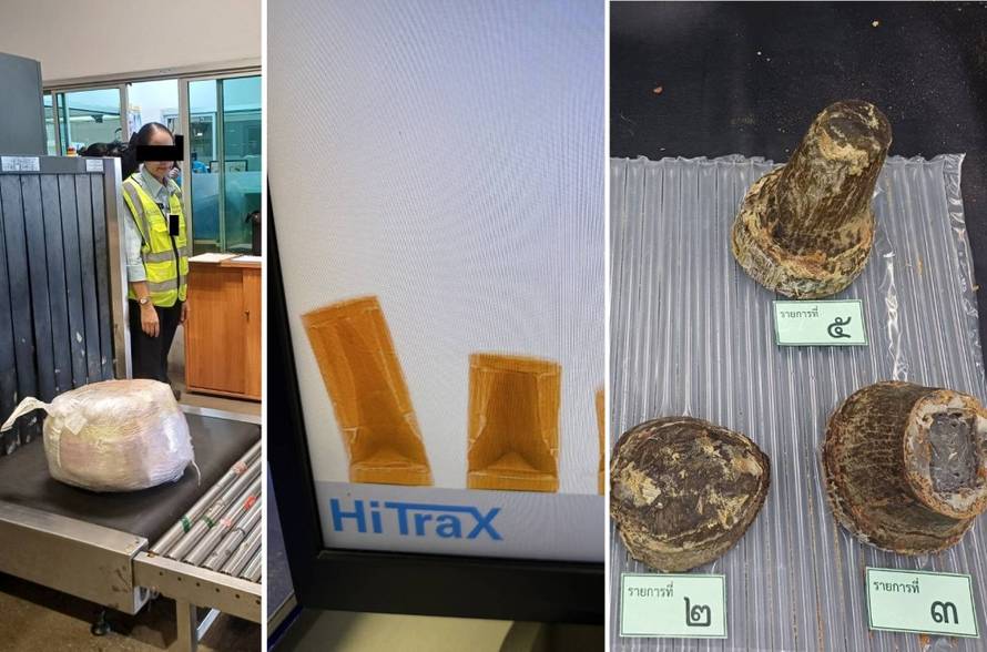 Cvrtila za 24sata: Ljudi švercaju mrtve životinje iz obijesti. Imaju toliko novca da ne znaju što bi