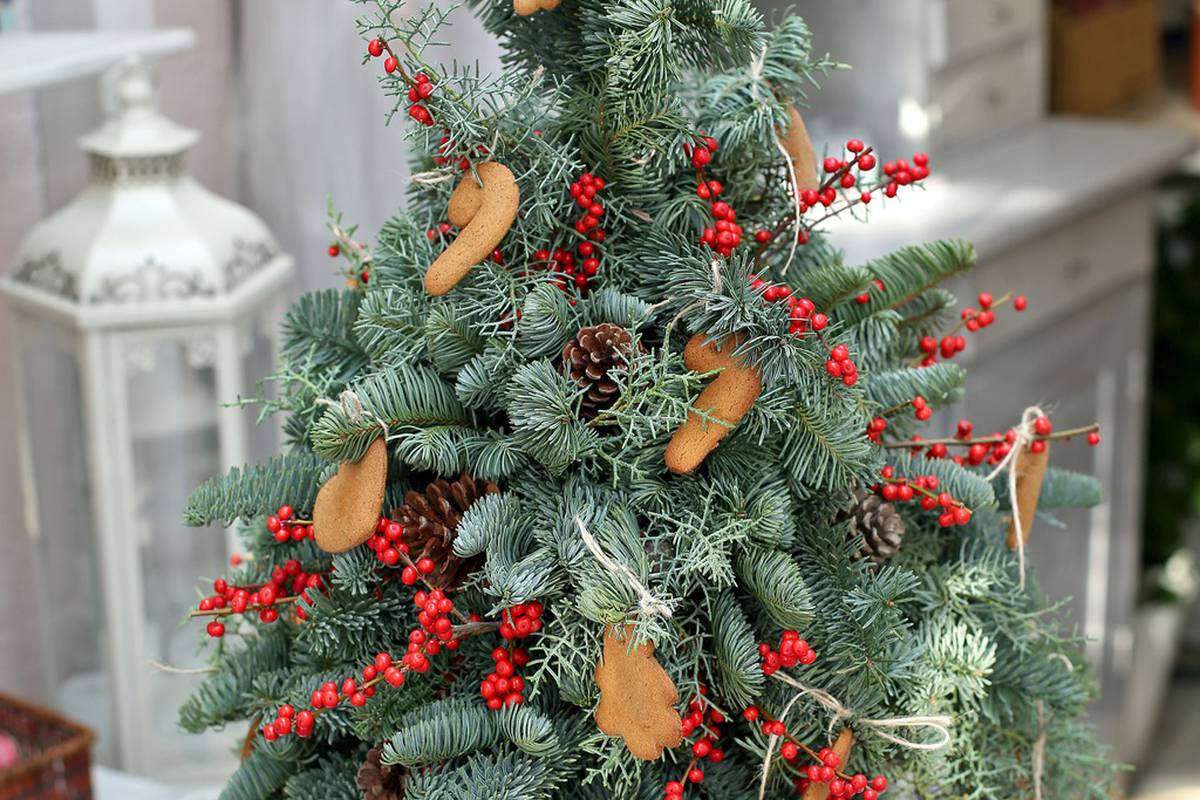 Nešto novo: Od grana izradite sami božićno drvce u teglici