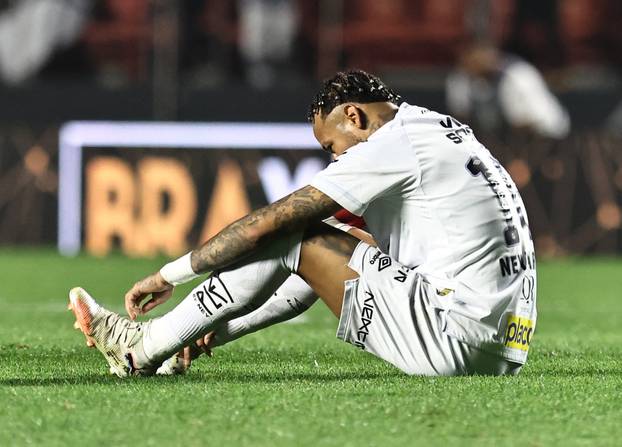 Brasileiro Championship - Santos v Vasco da Gama