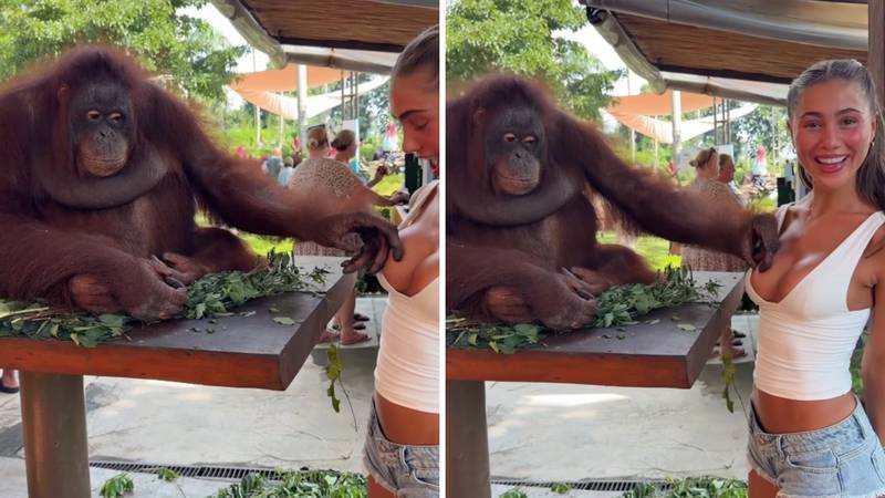 HTIO 'VIŠE OD FOTKE' Majmun zgrabio influencericu za dekolte