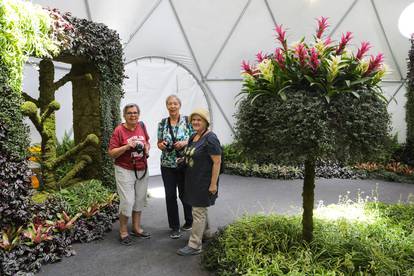 Otvorena 56. Međunarodna vrtna izložba 'Floraart'