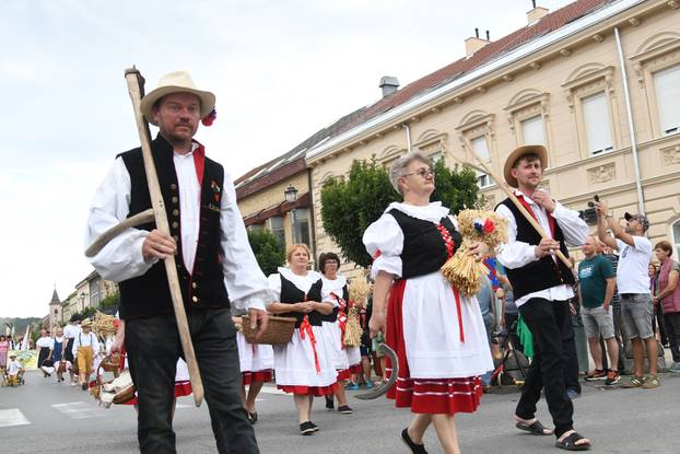 Daruvar: Obilježen je Dožinky, najveća kulturna manifestacija češke manjine u Hrvatskoj