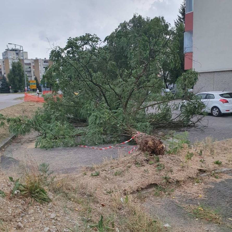 FOTO Nevrijeme u Karlovcu: Jak vjetar u par minuta napravio kaos, porušena brojna stabla