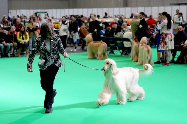 Crufts Dog Show 2025 - Day One