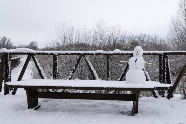 Kopački rit: Zimska idila u Baranji 