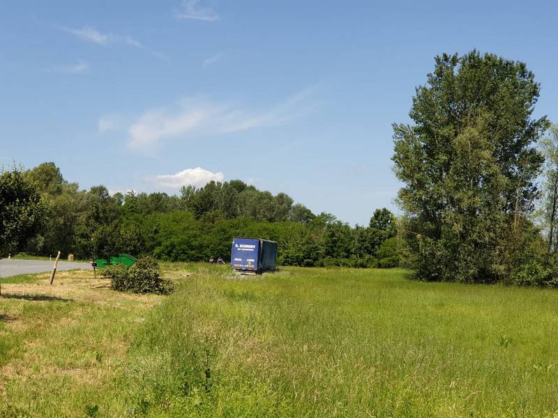 'Taman su izašli iz busa kad je naletio kamion. Bilo je strašno'