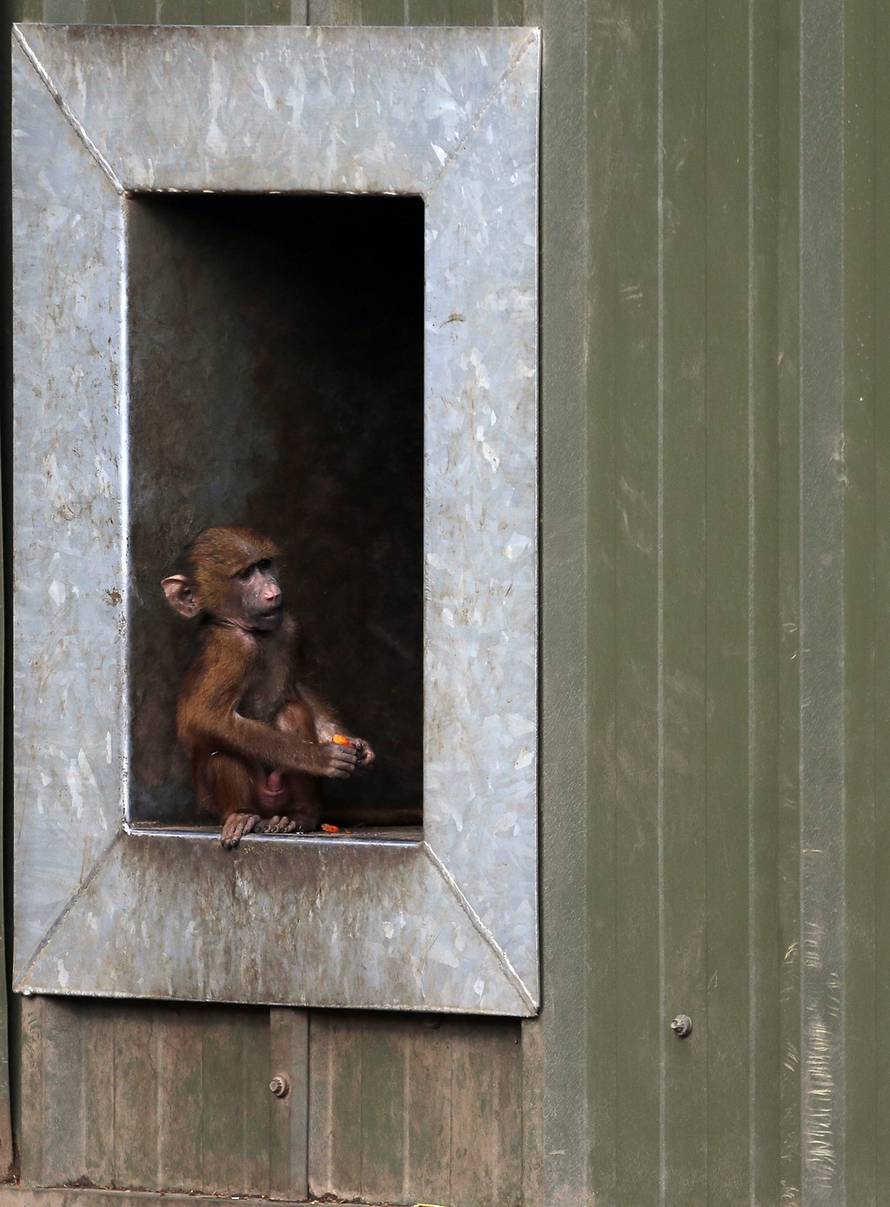 Press Association/PIXSELL