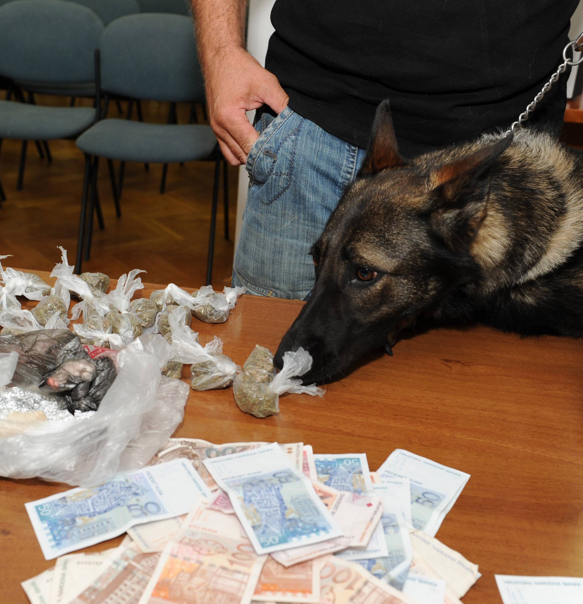 Uz pomoć policijskog psa našli 50.000 kuna i gomilu narkotika