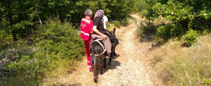 Baki je pozlilo od vrućine: Do vozila Hitne nosio ju - magarac