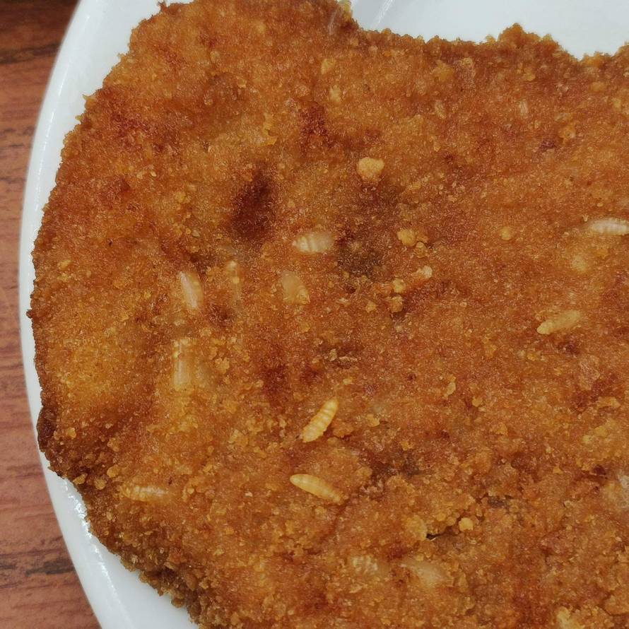 FOTO Studenti podijelili slike crva i dlaka u hrani iz menze: 'Žalimo se, ali nitko ne trza'