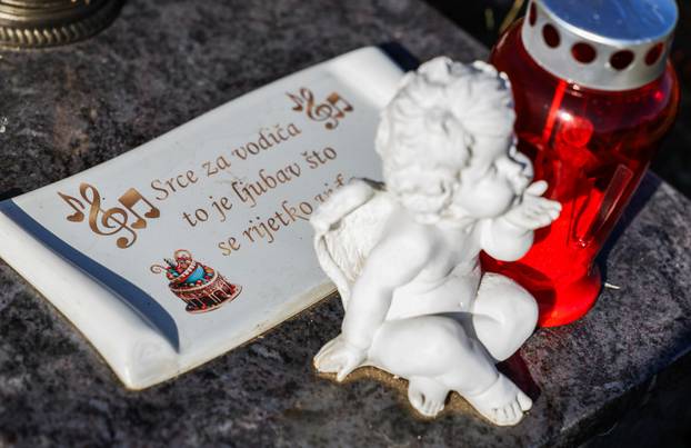 Zagreb: Groblje kućnih ljubimaca u Dumovcu obišao je jedino jedan mačak