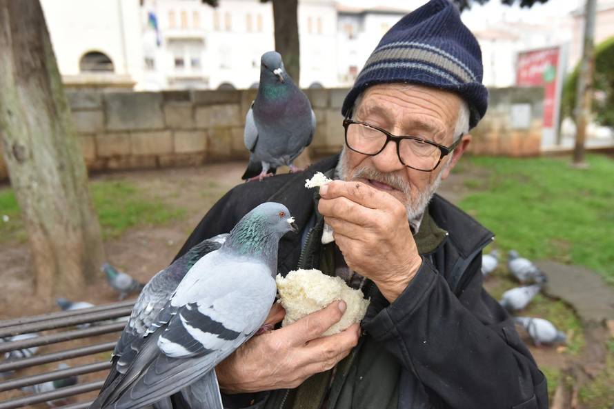 Dobri duh Pule Said Muharemi svakodnevno hrani golubove