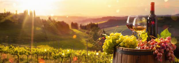 Glass,Of,Wine,With,Grapes,And,Barrel,On,A,Sunny