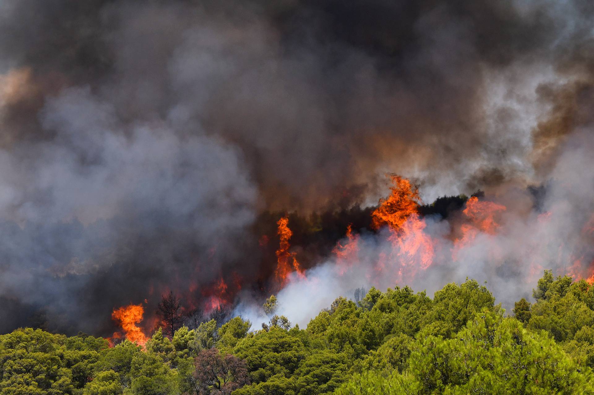 Šibenik: Gori borova šuma u blizini bolnice i obiteljskih kuća