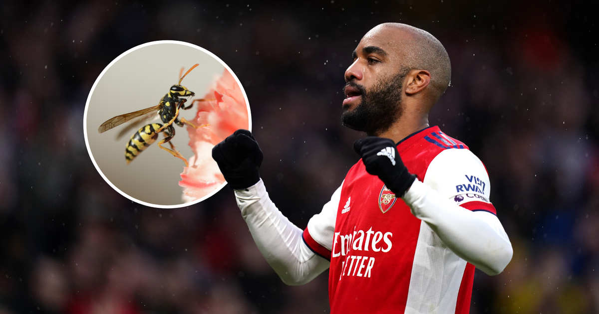 Alexandre Lacazette ose | 24sata