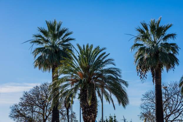 Sunčano jutro na Rivi u Splitu