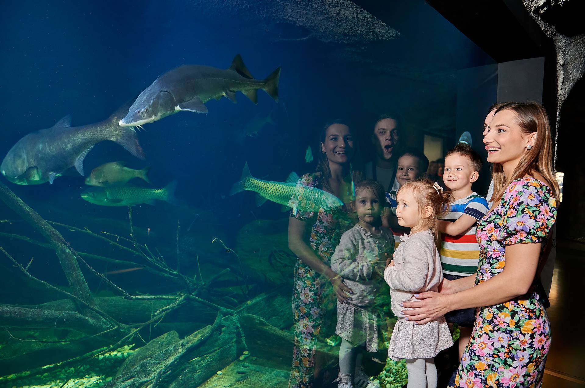 Jedinstveni slatkovodni akvarij Aquatika ovaj vikend slavi sedmi rođendan