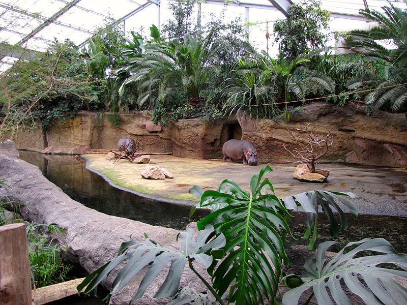 Nakon smrti žena će ostaviti 22 mil. dolara zoološkom vrtu