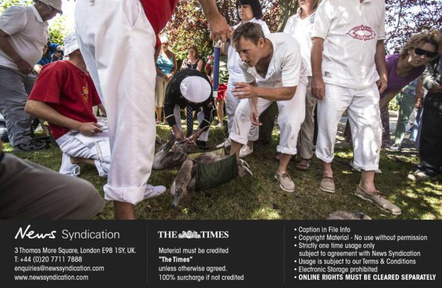 News Syndication/PIXSELL