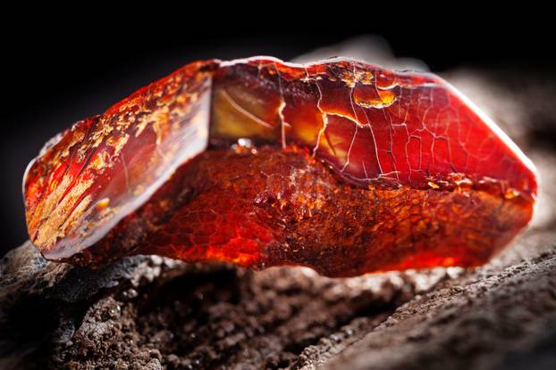 Natural amber. A piece of dark red semi transparent natural amber on piece of stoned wood.
