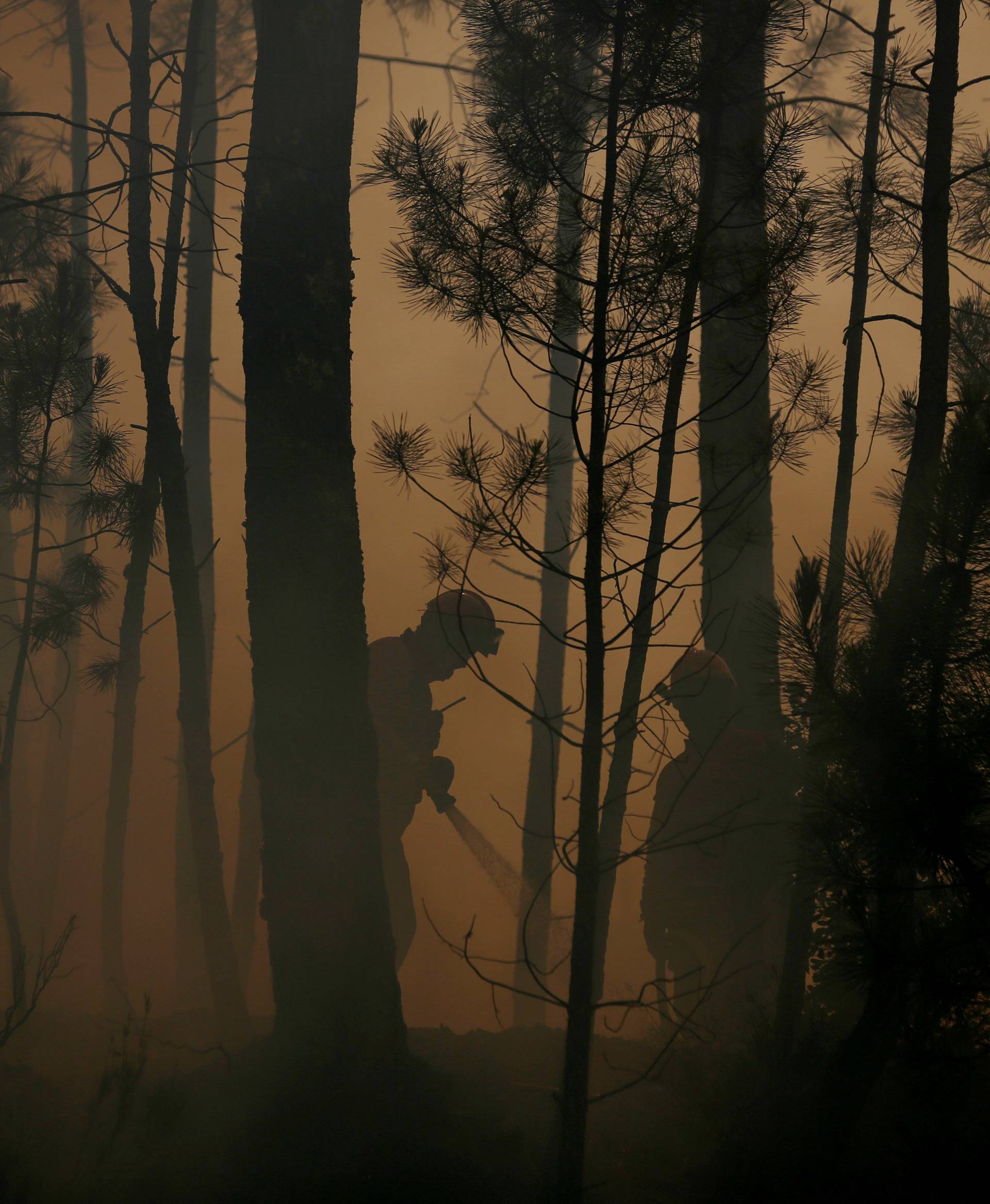 Firefighters work to put out fire during a forest fire in Capelo