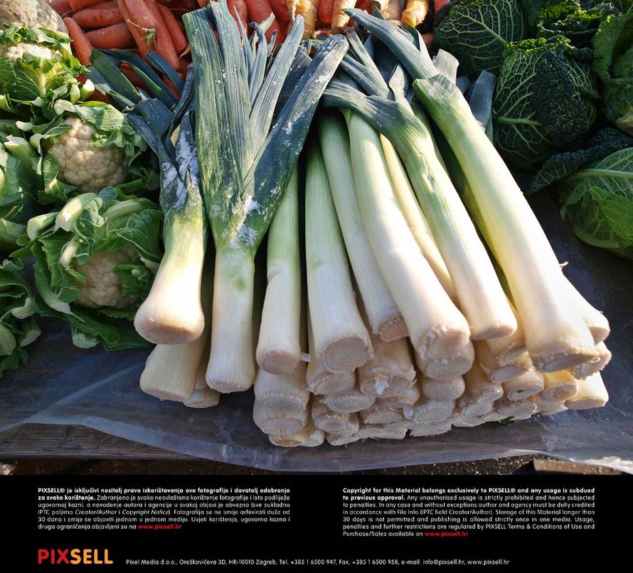 Borna Filić/Pixsell