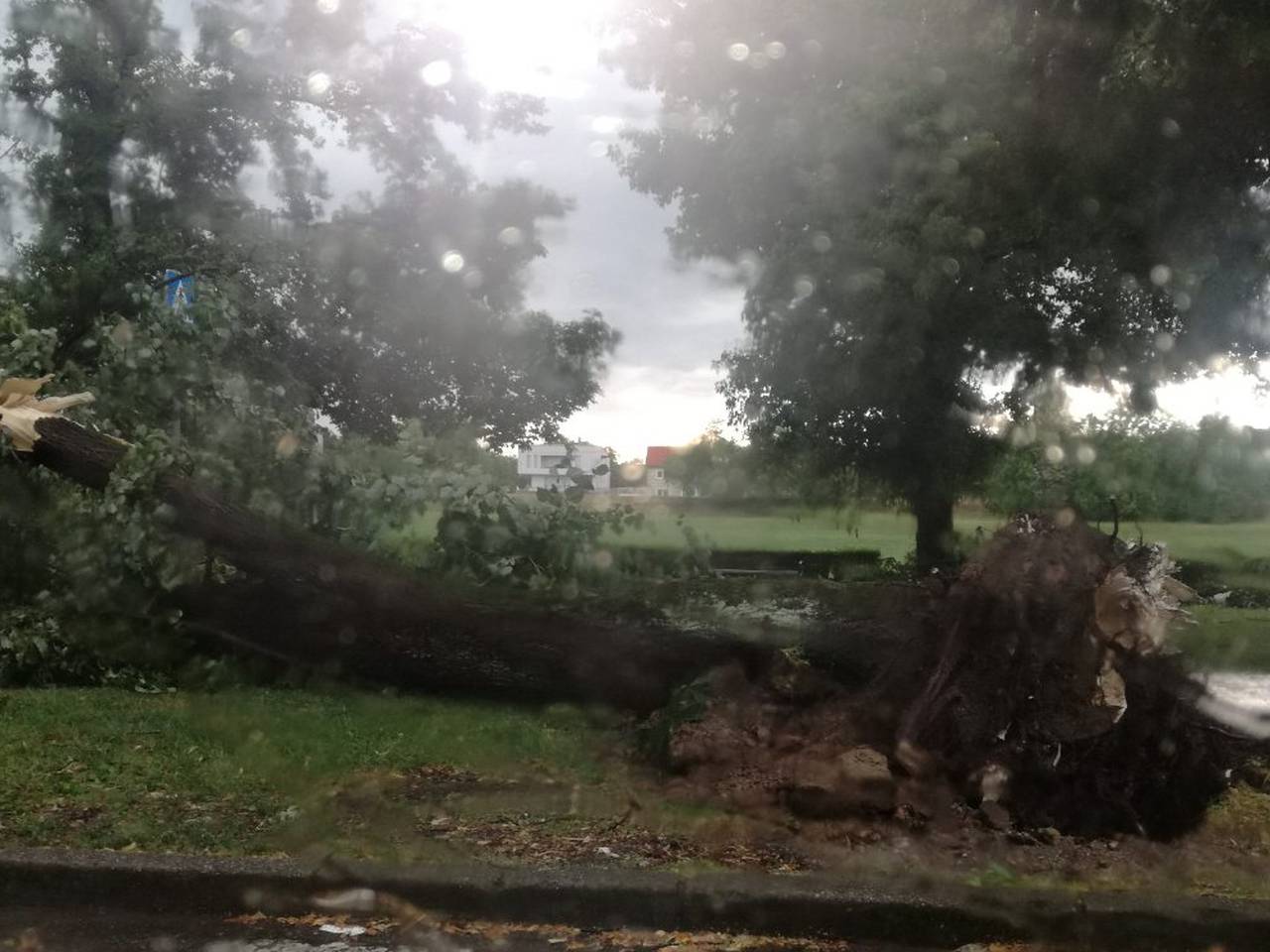 Oluja u Hrvatskoj čupala stabla i poplavila ulice, bilo je i tuče...