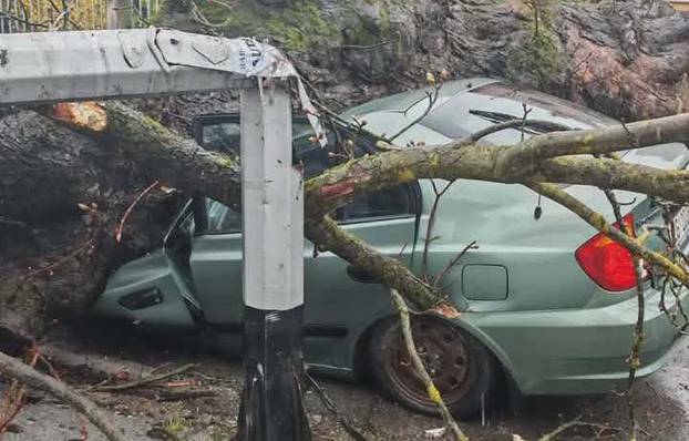 FOTO Apokalipsa u Zagrebu: Stabla drobila automobile, izdano novo upozorenje!
