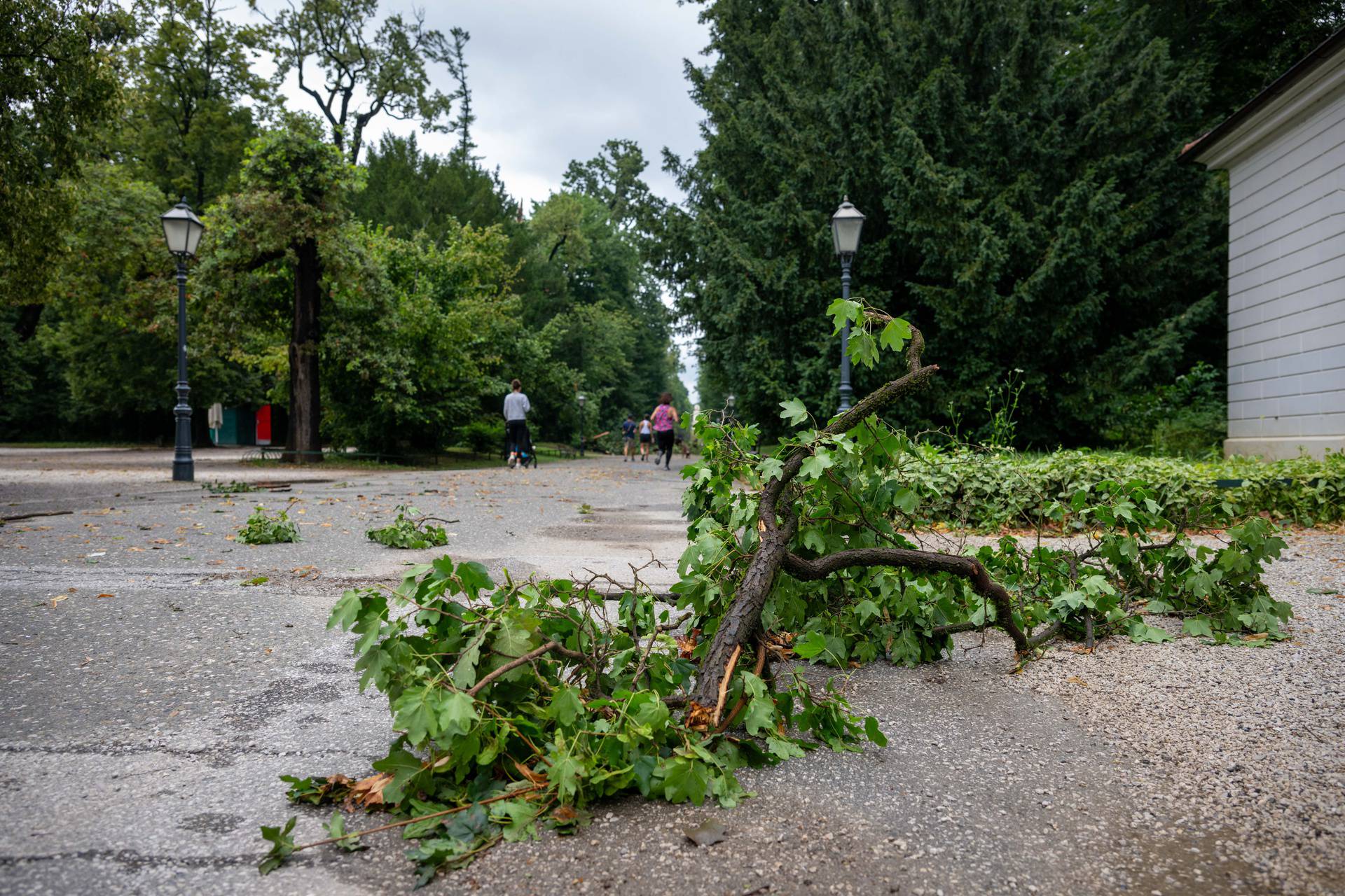 Zagreb: Posljedice noćašnjeg nevremena u parku Maksimir