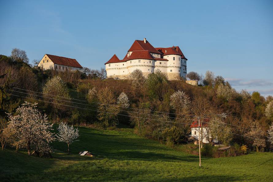 Kod Dvora Velik Tabor top usmrtio muškarca
