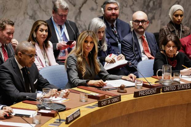 United Nations Security Council meeting in New York City