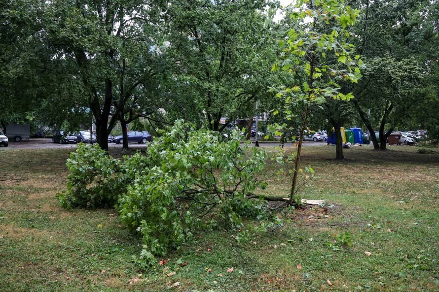 Zagreb: Vatrogasci uklanjaju stablo koje je palo u Ulici Svetog Mateja