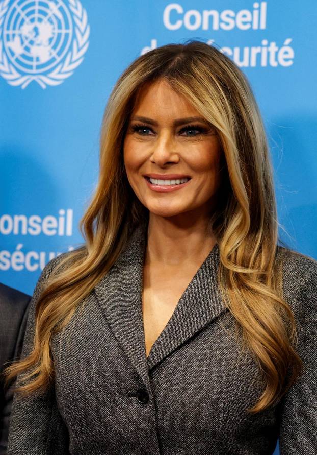 United Nations Security Council meeting in New York City