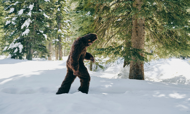 JEZA U Ohiju osmero ljudi kaže da je srelo Bigfoota! A sjećate se Nessie i Yetija? Evo 'gdje su'