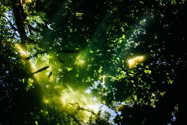 FOTO Popravite si dan ovim prekrasnim prizorima iz NP Krka