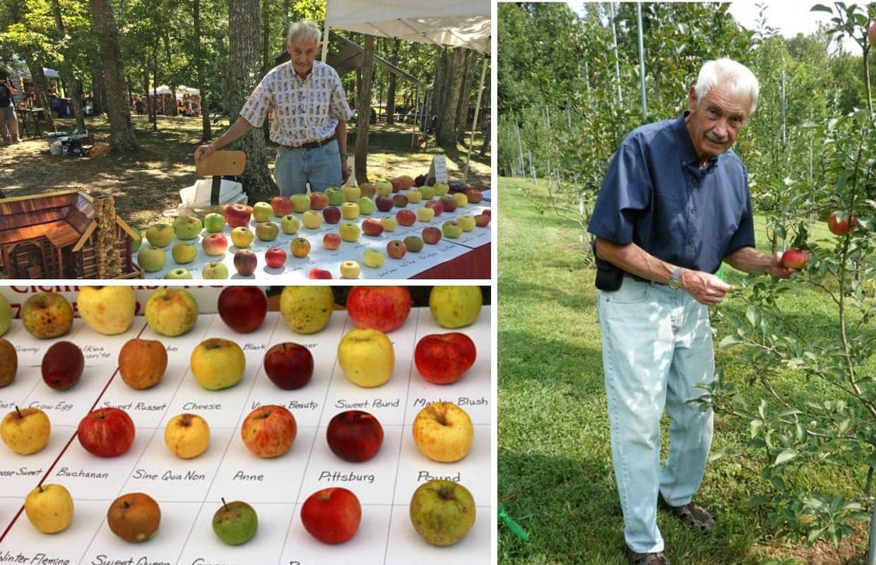 Zovu ga 'lovac na jabuke': Stare sorte spašava od izumiranja, a pronašao je preko 1000 njih