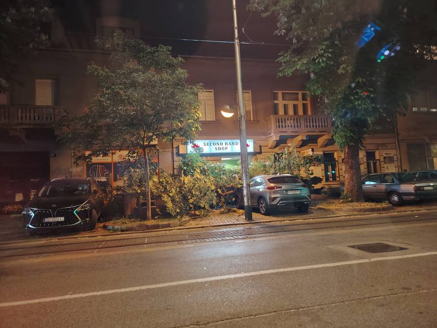 FOTO Ogromno stablo palo na auto i pločnik u Zagrebu!