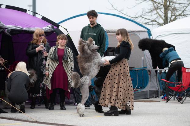 U Zaprešiću održana CAC nacionalna izložba pasa