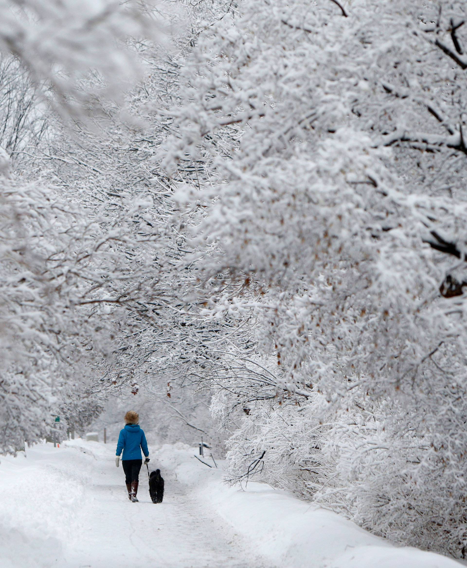 A woman walks a dog on a snow-covered path beside the Rideau Canal in Ottawa