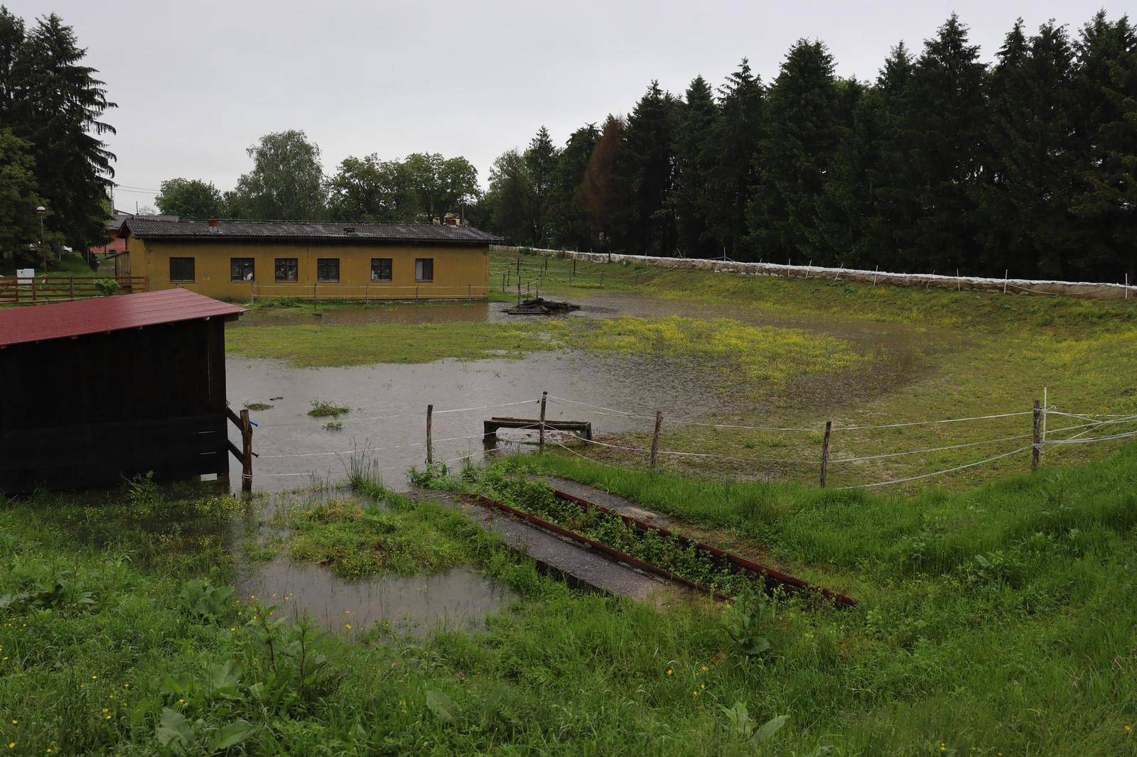 Pogledajte kako je popustio nasip u Sisku: Poplavljena udruga za terapijsko jahanje